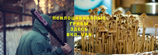 mix Осинники